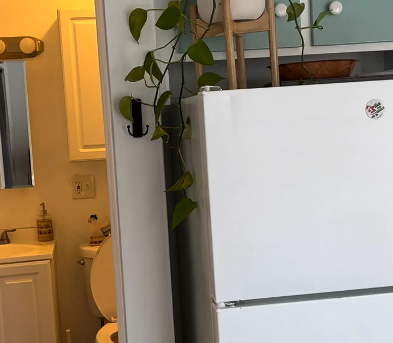 1 bed, 800 sqft, $1,650 — Photo 4