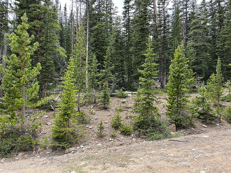 1st image of 63 El Lobo Cir
