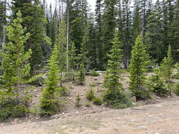 63 El Lobo Cir, Fairplay, CO 80440