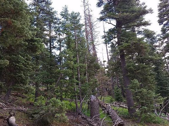3rd image of 6455 W Kodiak Dr #1-17