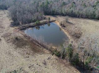 309 Ac Thyme Rd, Diana, TX 75640