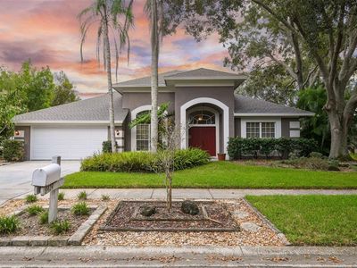 8424 Ridgebrook Cir, Odessa, FL, 33556