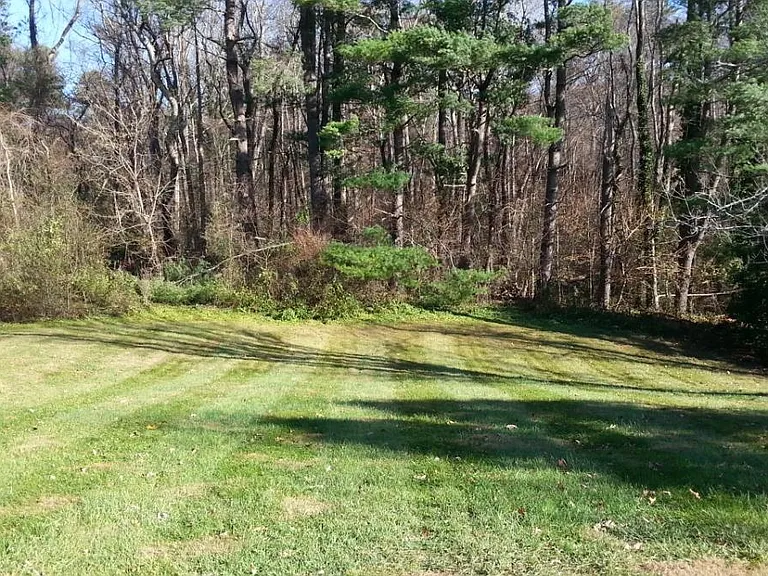 Backyard - house sits on .5 acre that backs up to a wooded area.