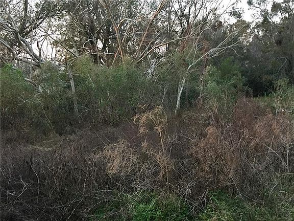 3rd image of 3114 Old Tampa Hwy