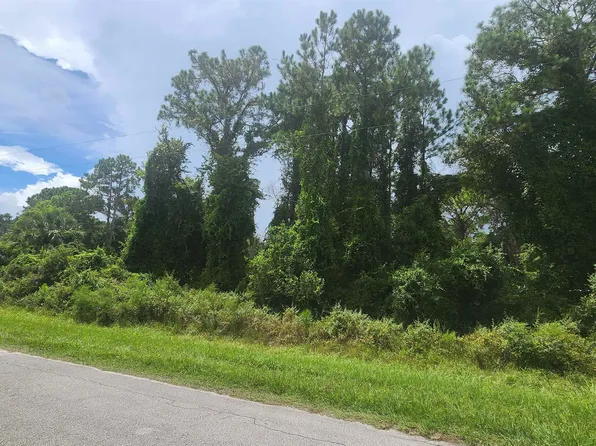 438 Palm Way, Georgetown, FL 32139