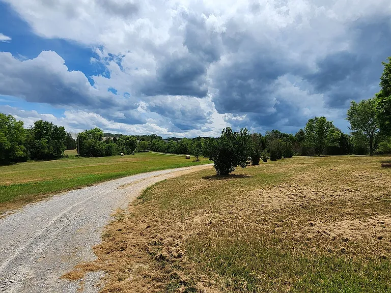 1653 Bear Creek Pike — Photo 4