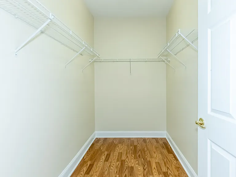 Dowstairs Master Walk-in Closet