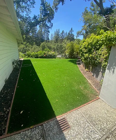 464 Camino Sobrante — Photo 35