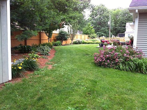 Back yard facing west