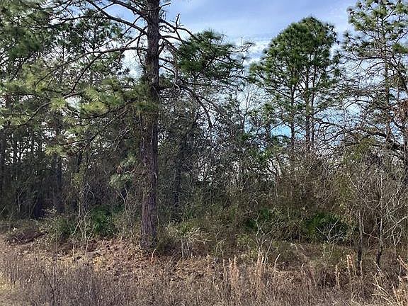 5th image of 12449 Indigo Bunting Rd