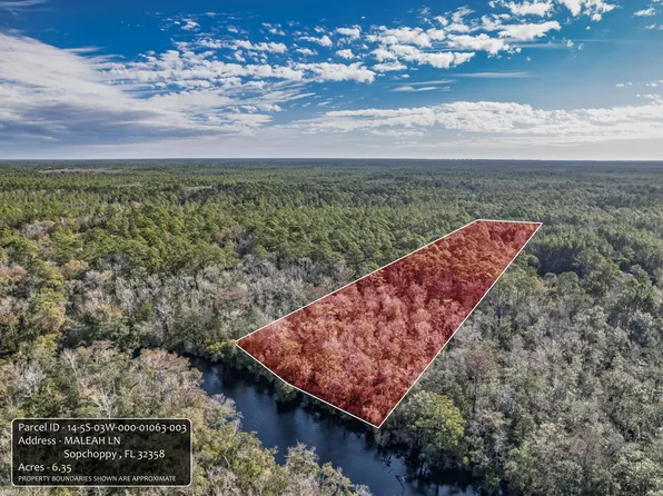 Xxx Maleah Ln, Sopchoppy, FL 32358