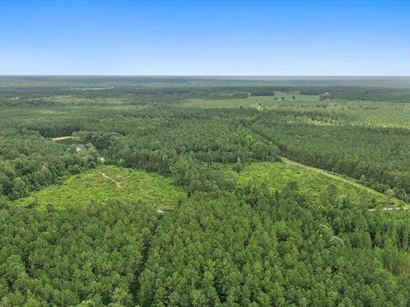 Cephus Williams Rd, Silver Creek, MS 39663