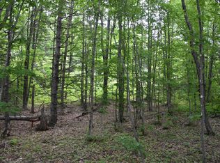 1 Cabot Plains Rd, Cabot, VT 05647