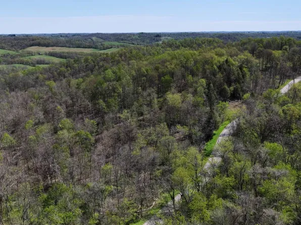 599-000 Ramsey Ridge Rd, Jacobsburg, OH 43933