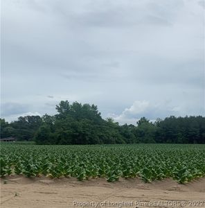 Shaw Mill Rd, Saint Pauls, NC, 28384