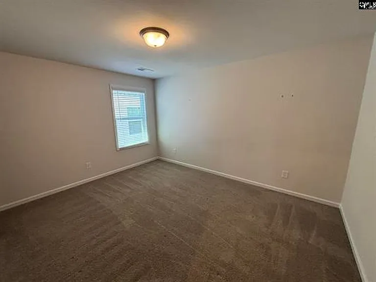 424 Lady Liberty Way — Photo 13