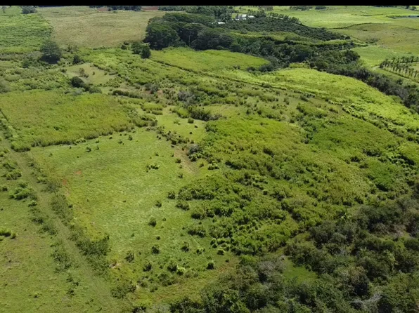 1-3 PRIVATE RD, Hakalau, HI 96710