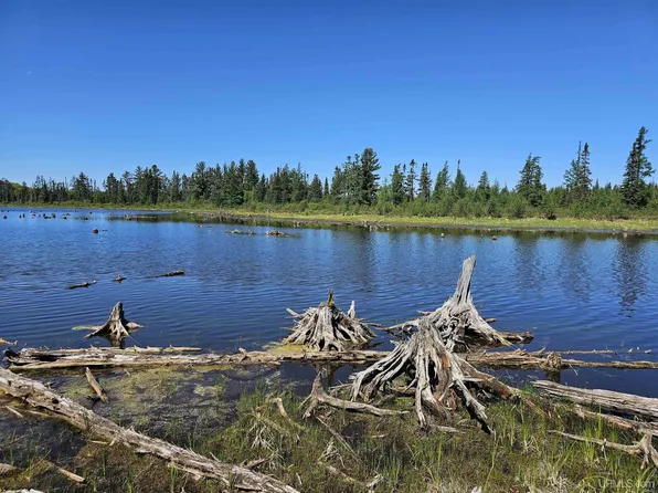 Off Of M94 Hwy, Gwinn, MI 49841