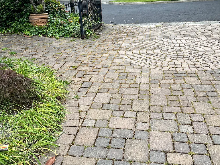 35 Kent Ct — Photo 19