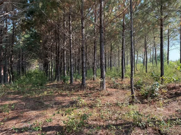 7 Grass Farm Rd, Titus, AL 36080