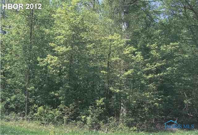 1st image of 0 Woodland Trl W