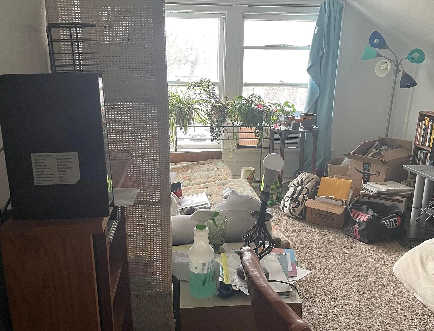 Studio, 345 sqft, $905 — Photo 3