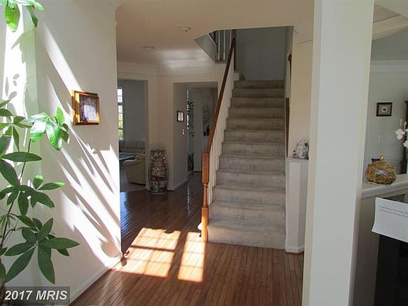 3rd image of 42916 Cattail Meadows Pl
