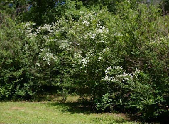 5th image of 16411 County Road 4018