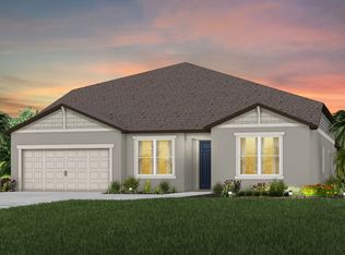 12047 Orchid Ash St, Model Riverview, FL 33579