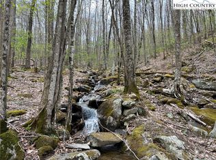 Red Fox Ln, Banner Elk, NC 28604