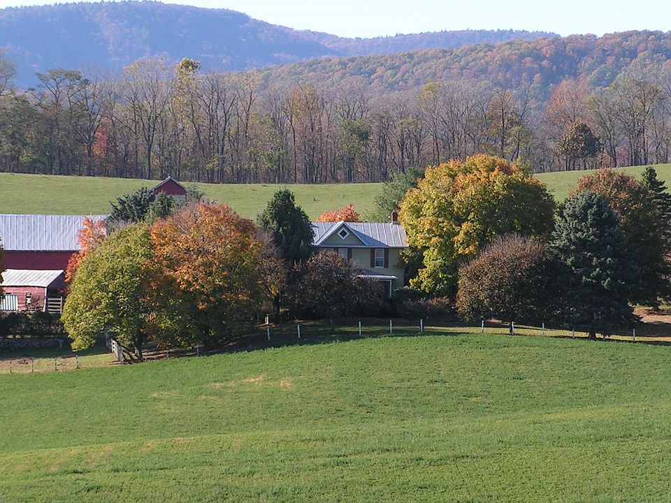 4803 Snapps Creek Road