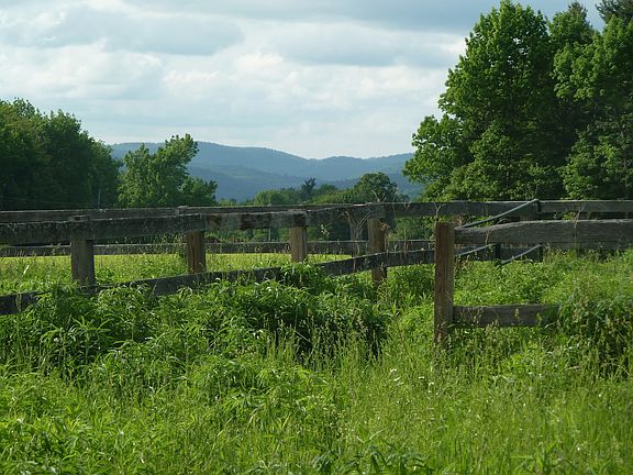 4th image of 127 Mount Rd