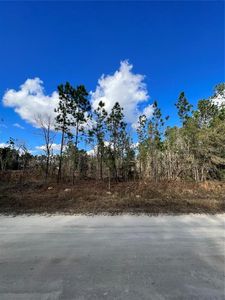 SW 73rd St LOT 1, Ocala, FL, 34481