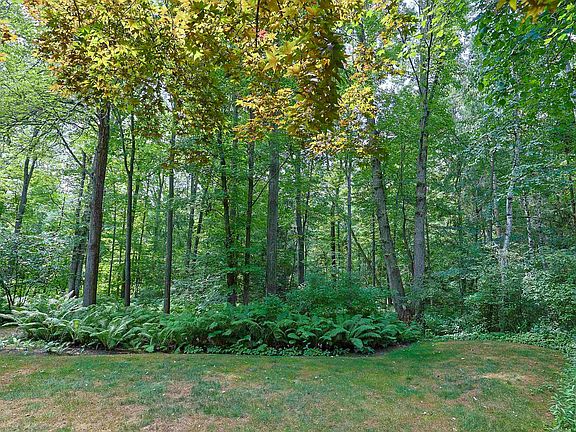 4th image of 5605 Woodview Pass St