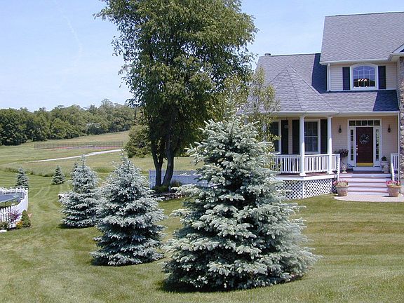 Valley Views of Open Space behind House