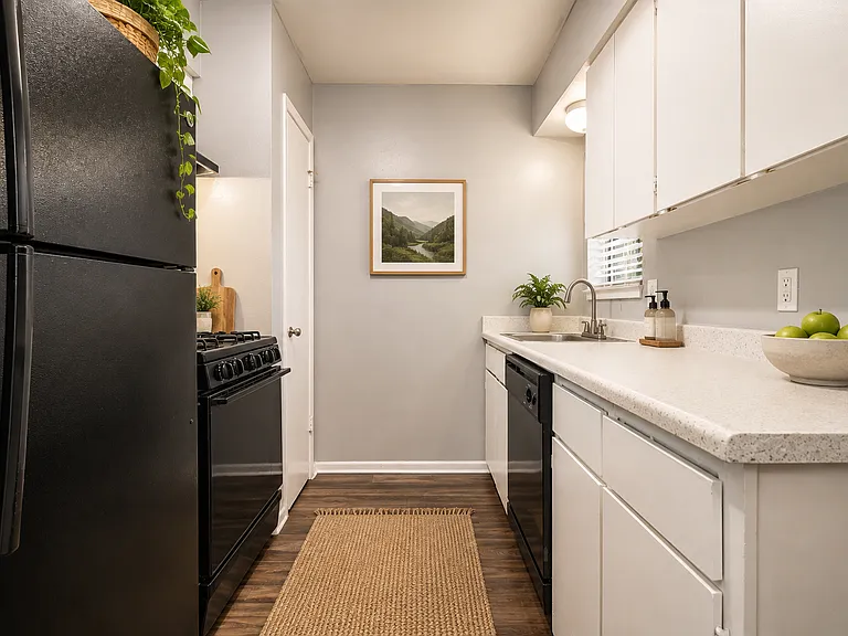 Marigold Apartments — Photo 10