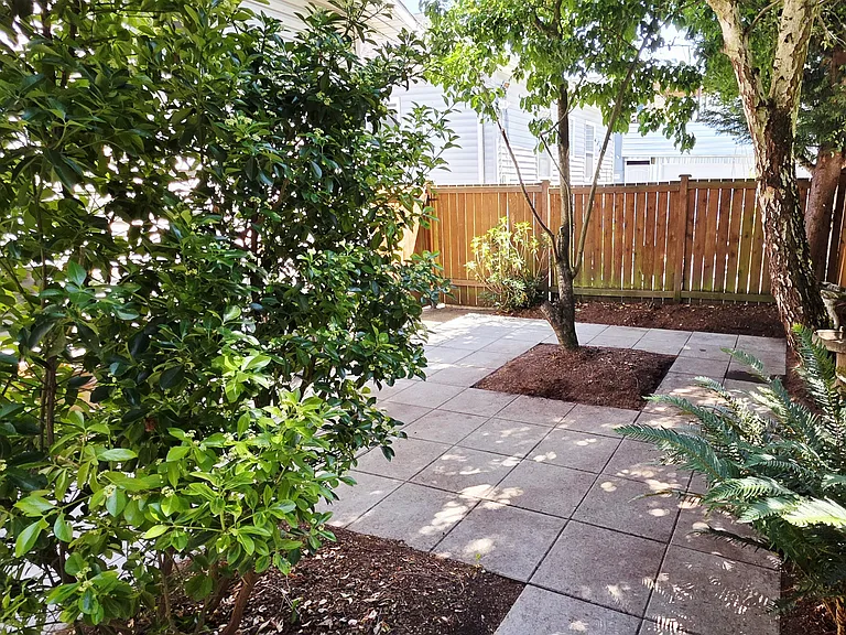 Backyard / Patio