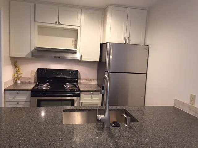 Rickdal Apartments 1011 — Photo 2