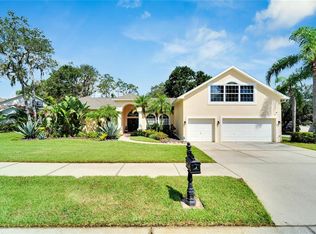 2534 Centennial Falcon Dr, Valrico, FL 33596