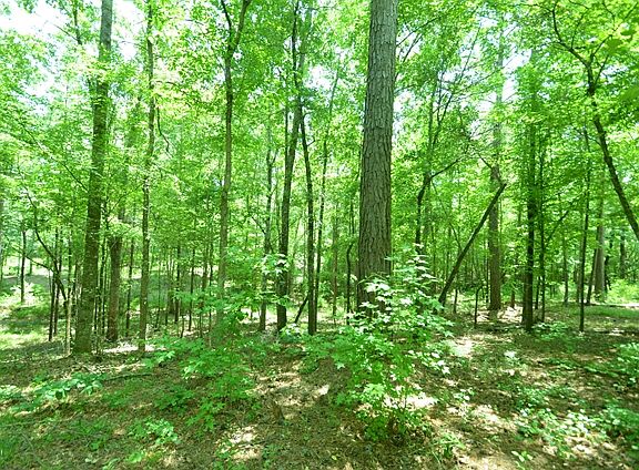 5th image of 870 Dakota Dr #7