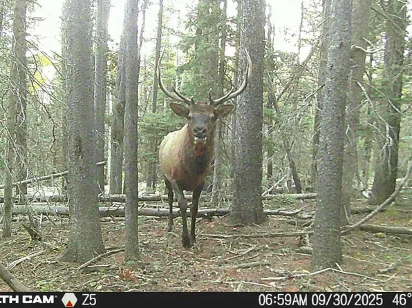 Lot 3427 Grojean Drive LOT 3427, Fort Garland, CO 81133