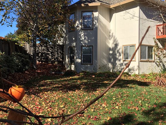 Backyard corner view