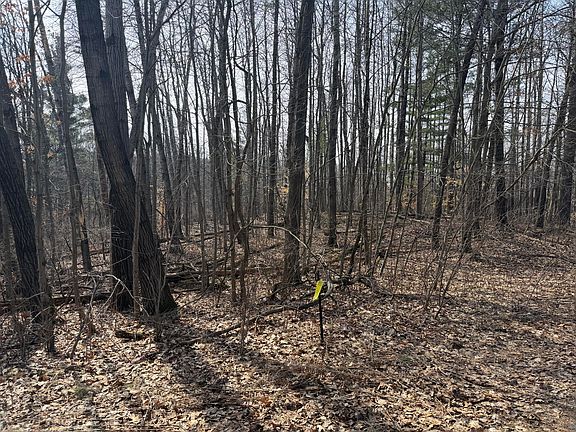 2nd image of 12952 Bowen Lake Dr NE