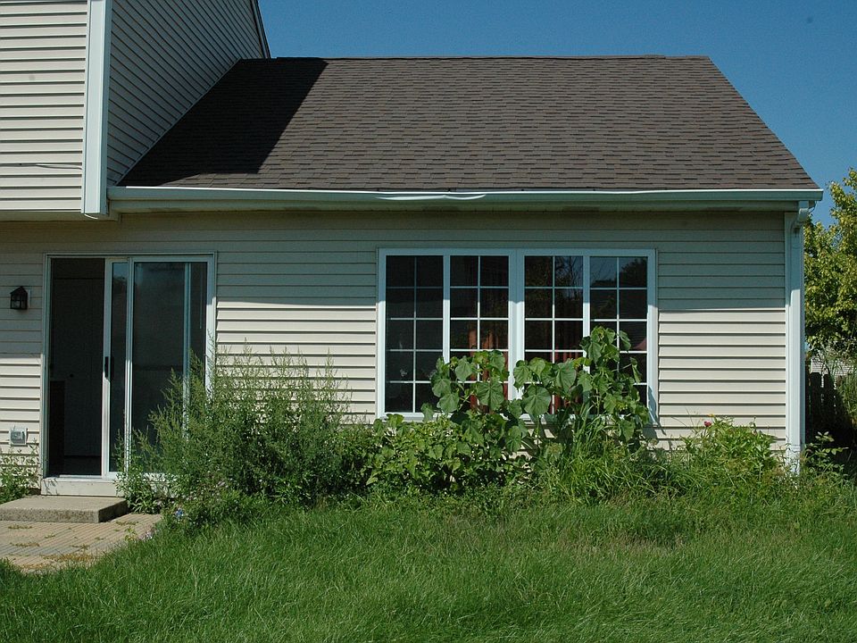 Rear Landscaping