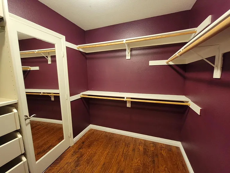 walkin closet door with mirror