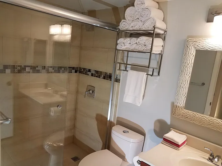 Bathroom and shower. Enjoy the glass-enclosed shower.