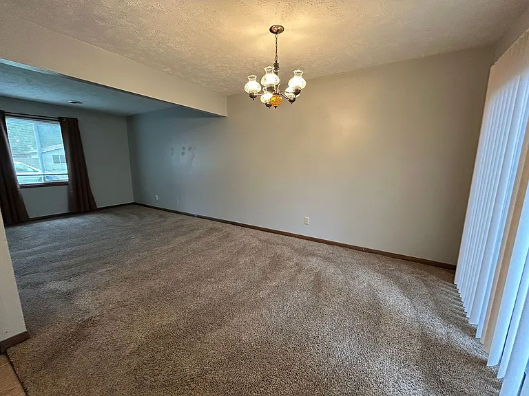 2423 Buttonwood Dr — Photo 6