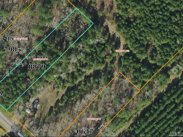 446 Hoggard Mill Rd, Windsor, NC 27983