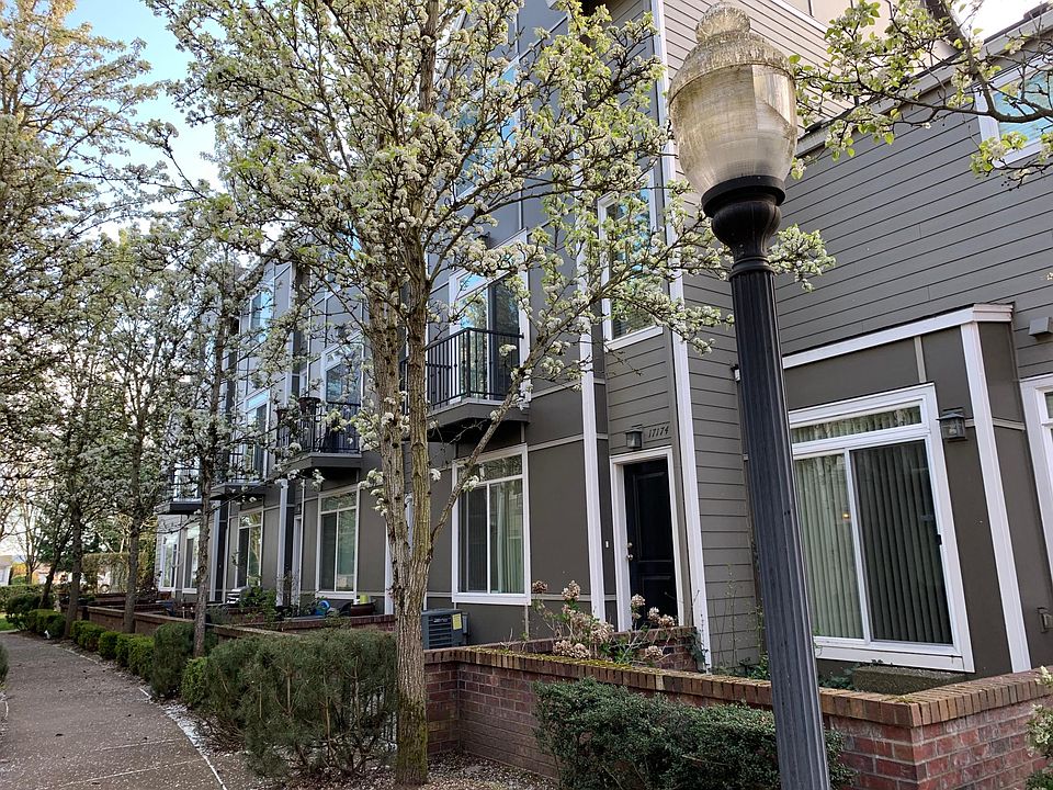 Spring blossoming trees at Entrance