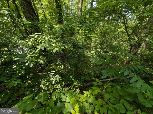 104 Summit Point Dr, Front Royal, VA 22630